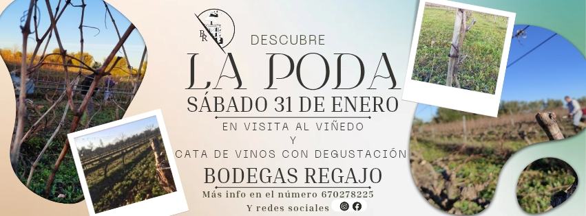 Poda de la vid en Bodegas Regajo
