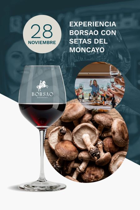 Cartel Experiencia Borsao con setas del Moncayo, 28 de noviembre