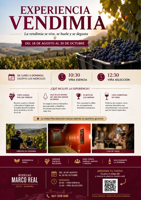 Experiencia Vendimia en Bodegas Marco Real, Olite