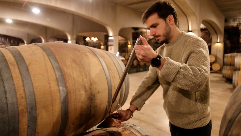 Cata de Barrica en Bodegas David Moreno