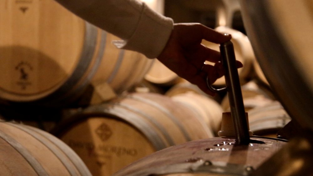 Cata de Barrica David Moreno