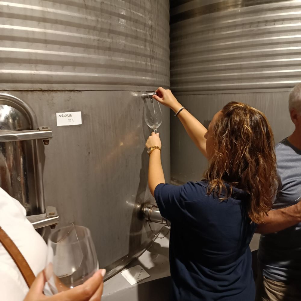 XVI Cena del Mosto Abadal 2025