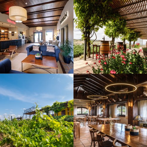 Renovación Valdubón