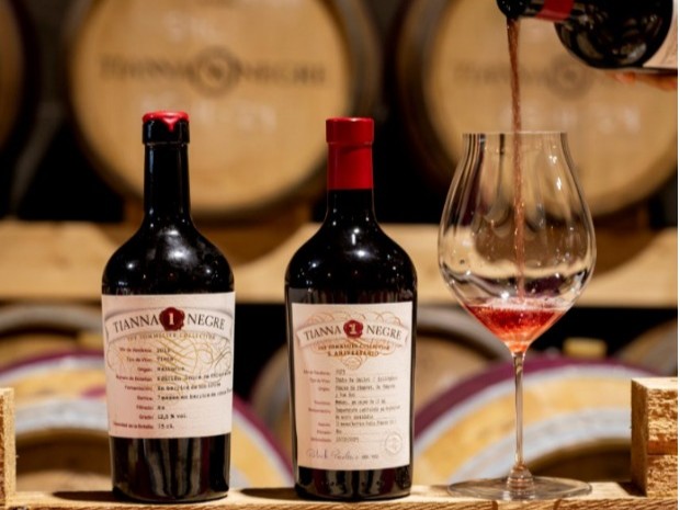 Cosecha Callet Tianna Negre