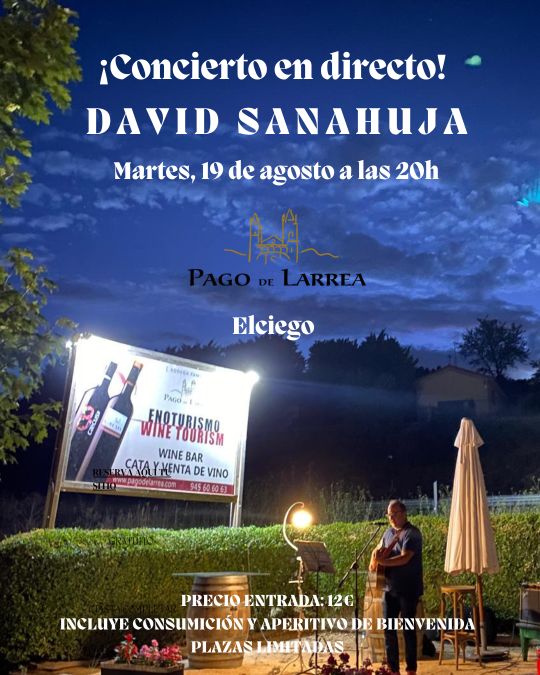 Concierto David Sanahuja en Vinobar de Caecus