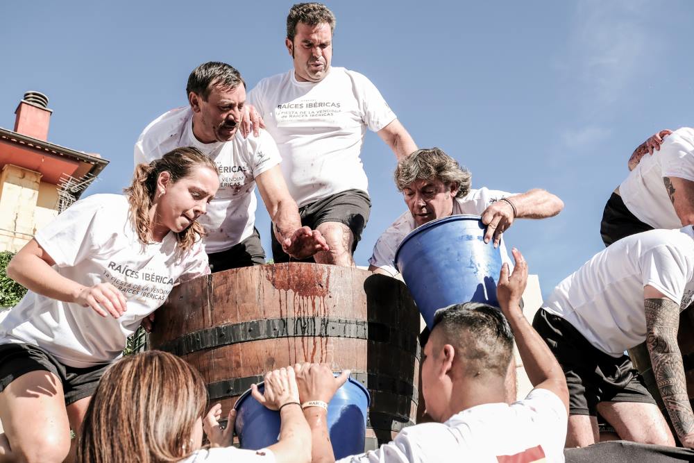 Concurso Pisado Uva Fiesta Vendimia