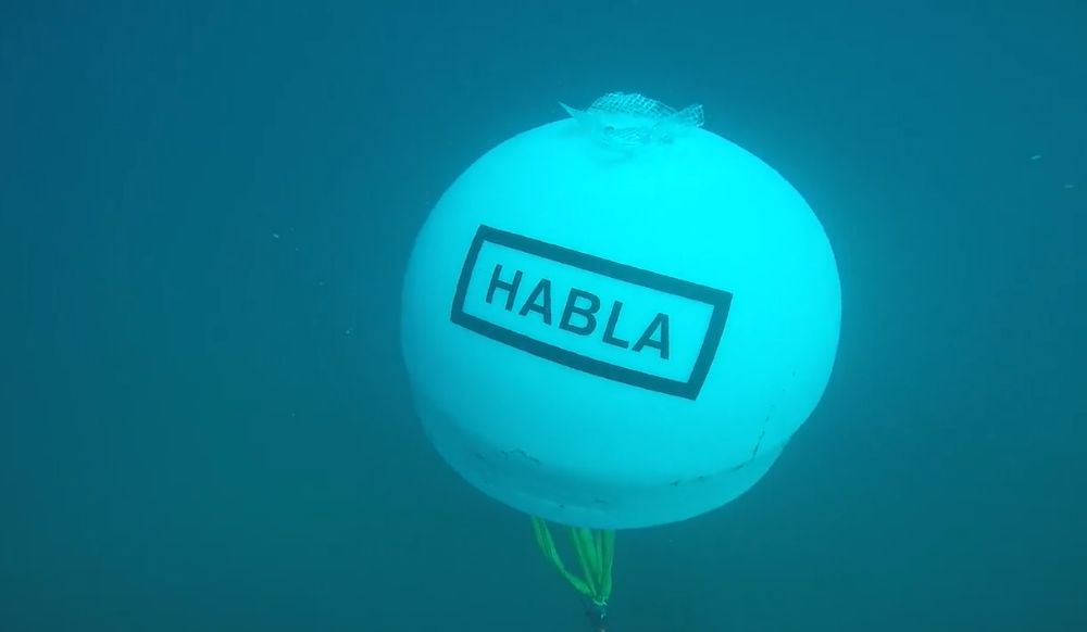 Fermentación Submarina Habla