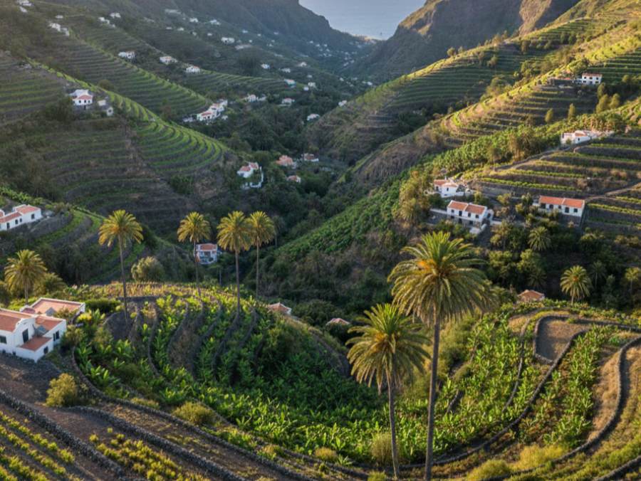 Wineries in D.O. La Gomera
