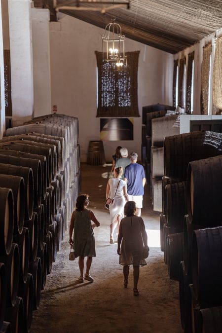 Enoturismo Alvaro Domecq