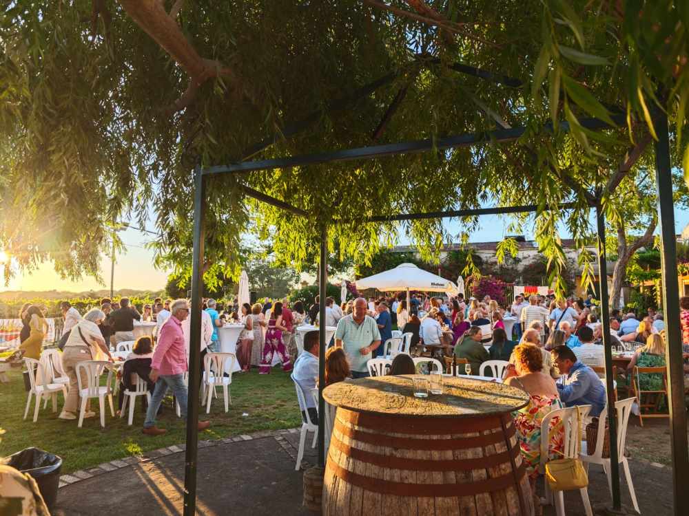 Evento Puesta de Sol en la Bodega
