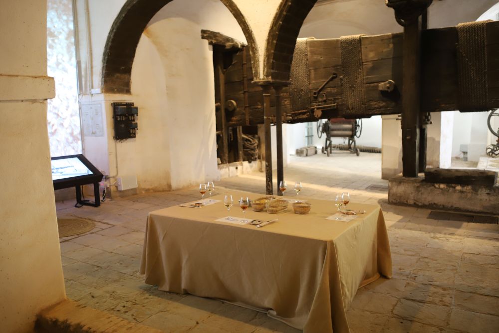 Cata de Vinos