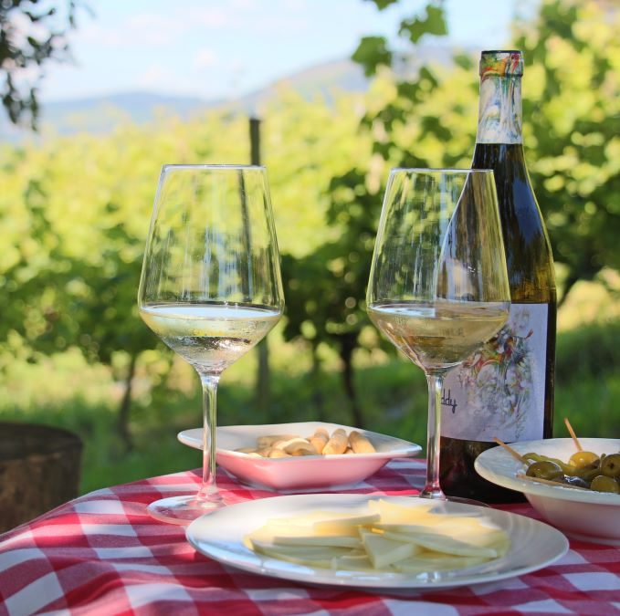 Cata Txacolí Bizkaia entre viñas