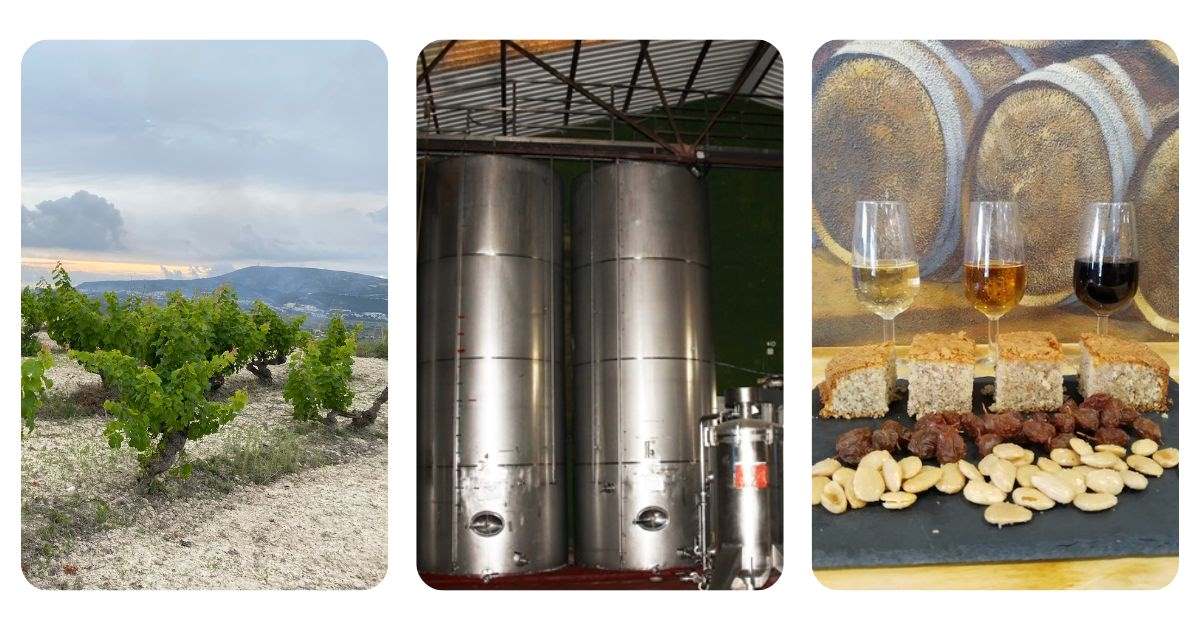 Visita vi&eacute;dos y Bodega con Cata