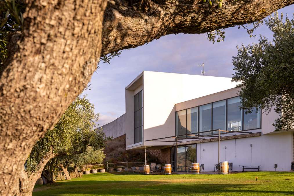 Tardeo bodegas Rioja - Finca de los Arandinos