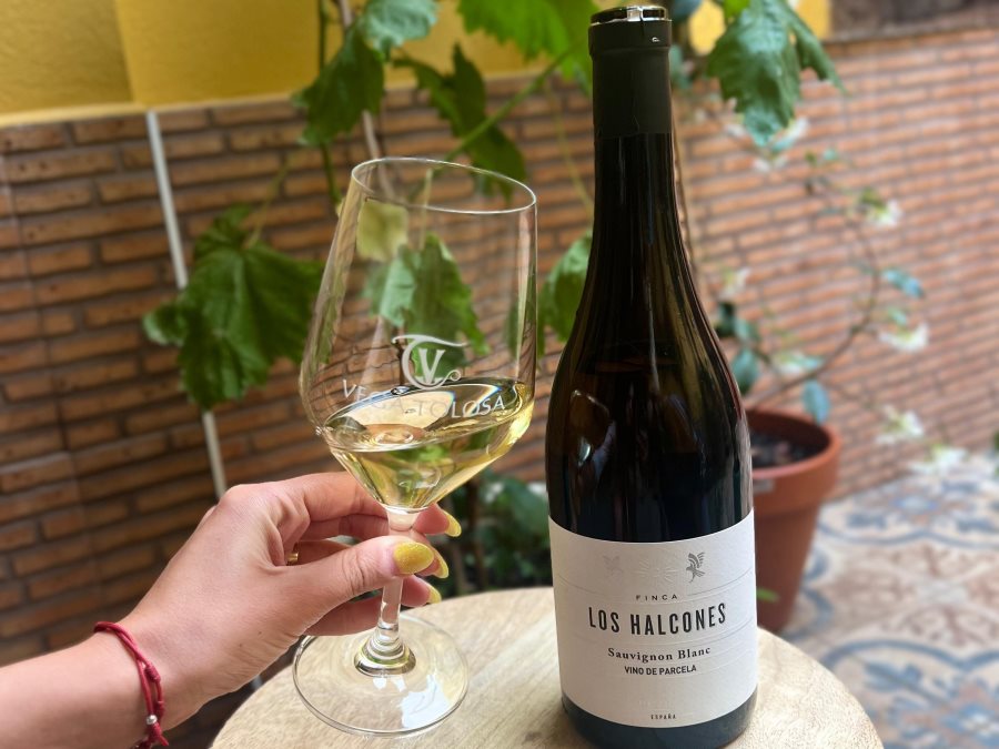 Cata finca los Halcones