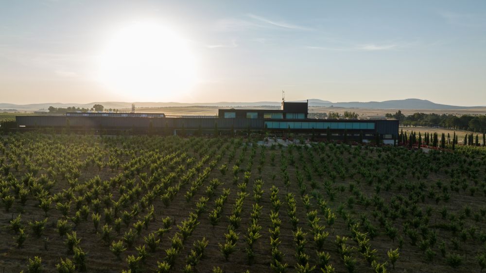 Bodegas Habla y Viñedo