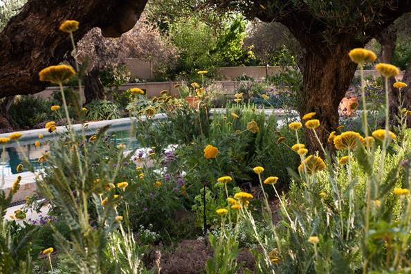Jardin Bodega La Era