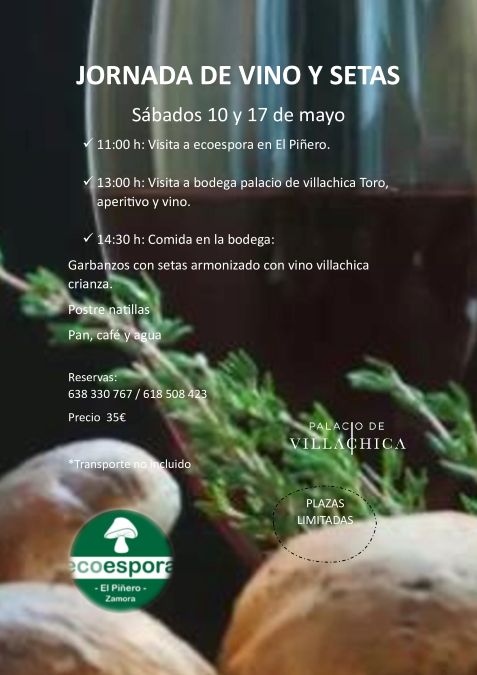 Jornada Vino y Setas Toro