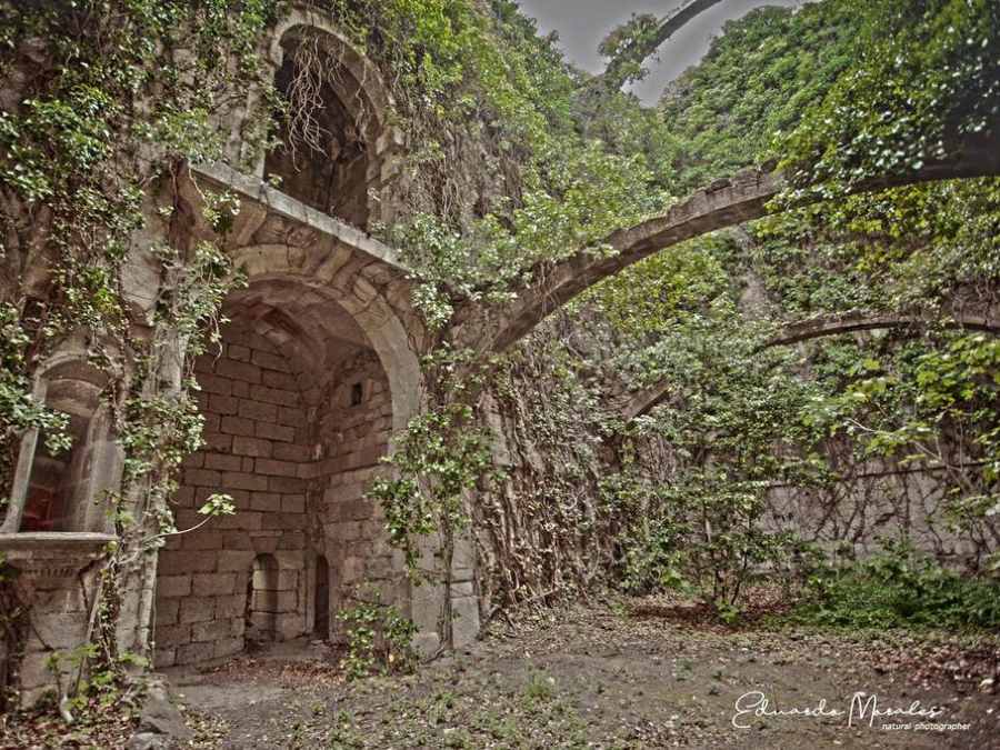 Cata evocativa