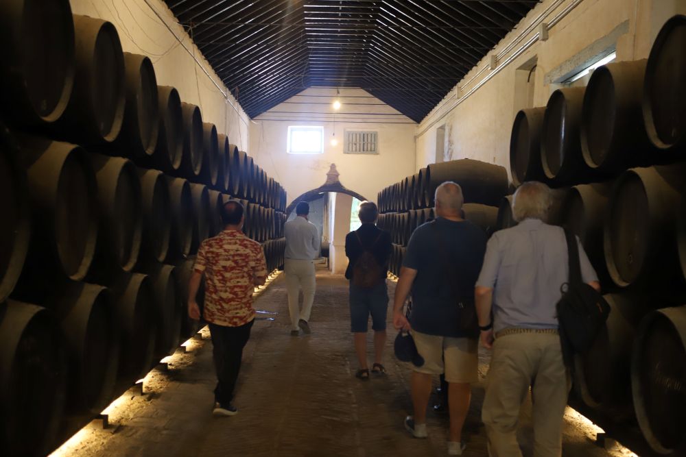 Visita museo Bodegas Góngora