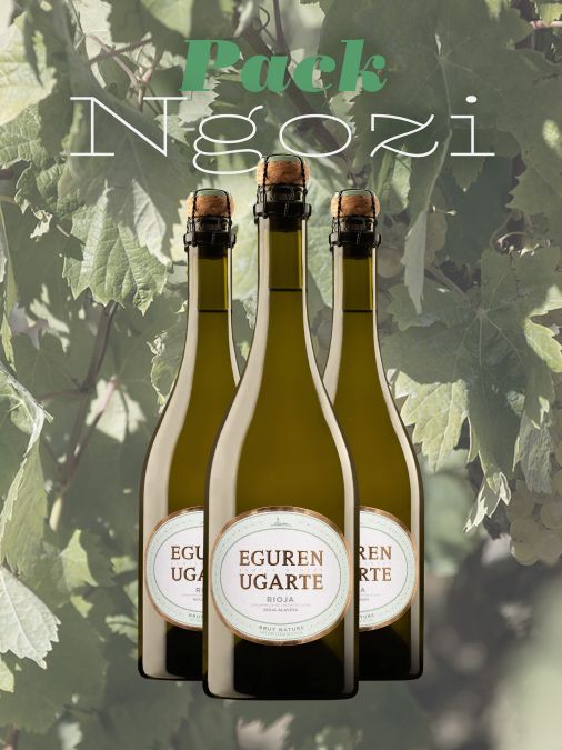 Pack Ngozi, Eguren Ugarte