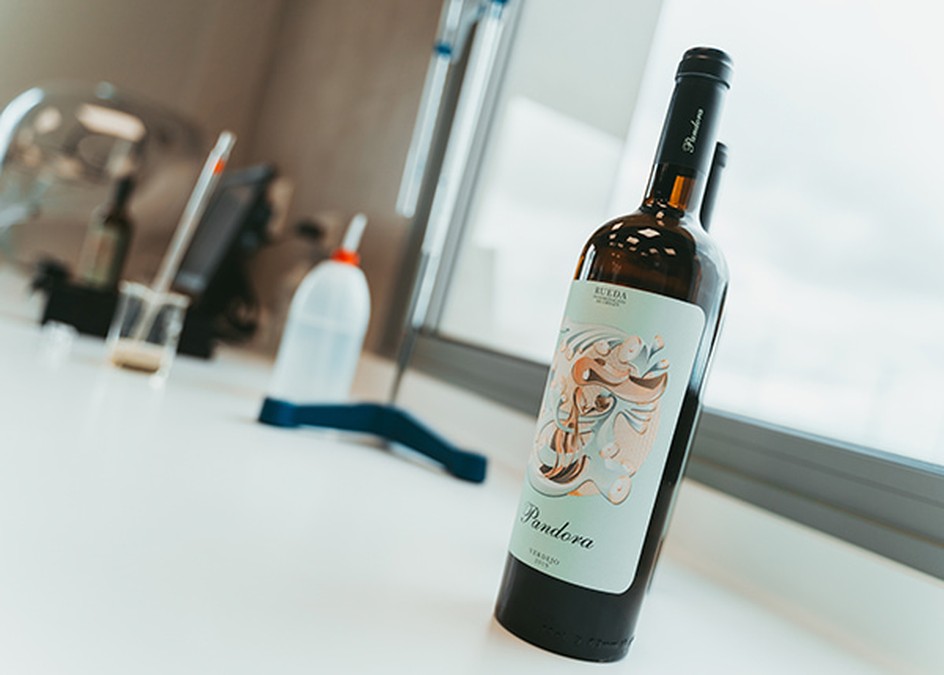 Pandora Verdejo, DO Rueda