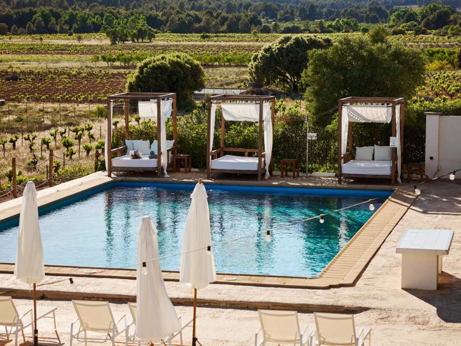 Cool Wine Experience Vilasira