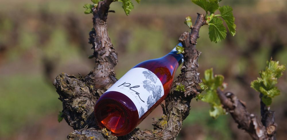 Pla de Llíber Rosado