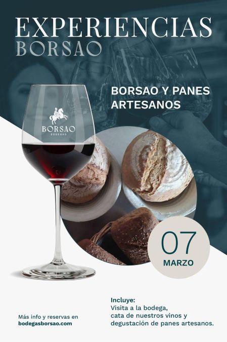 Cata de vinos en Bodegas Borsao