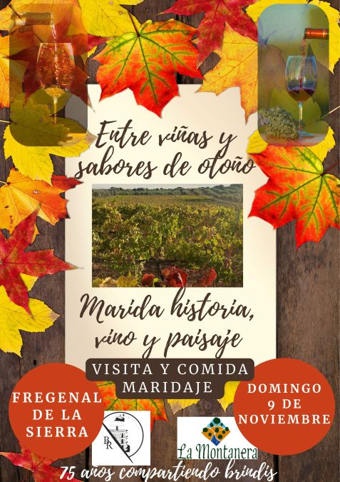 Viñedos de otoño Bodegas Regajo