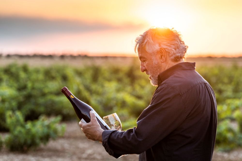 La Plauzela Vino