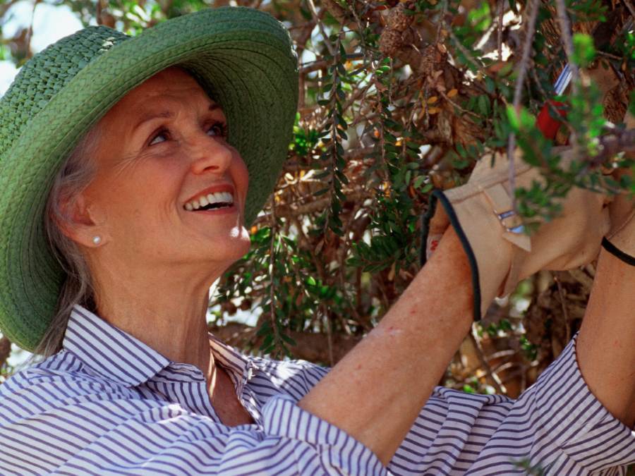 Viñedo La Viña del Abuelo