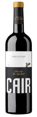 seleccion-la-aguilera