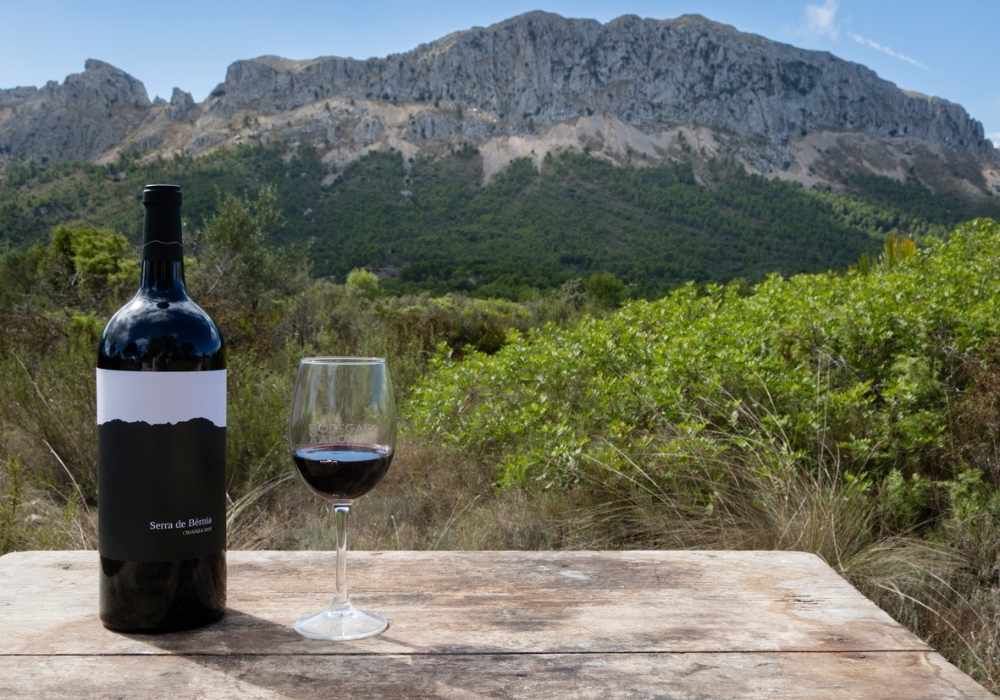 Botella Vino Tinto Crianza Bodegas Xaló