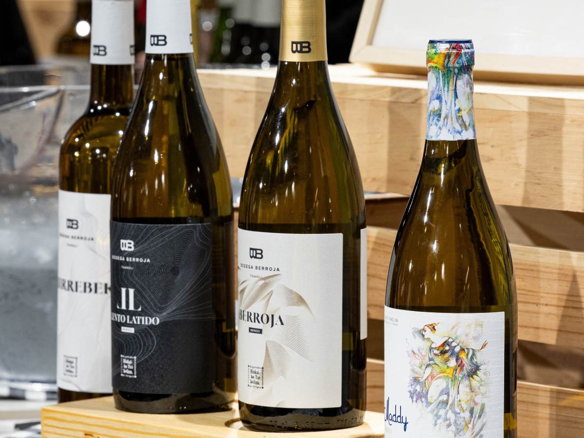 Txacolis bodega Berroja