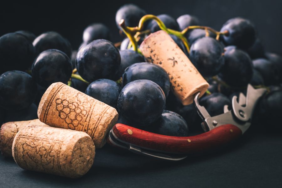 ¿Qu&eacute; tipos de sacacorchos existen?