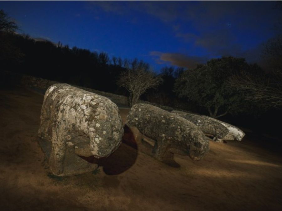 Toros de Guisando en El Tiemblo, Ávila