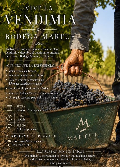 Vendimia en Bodega Martúe, Toledo