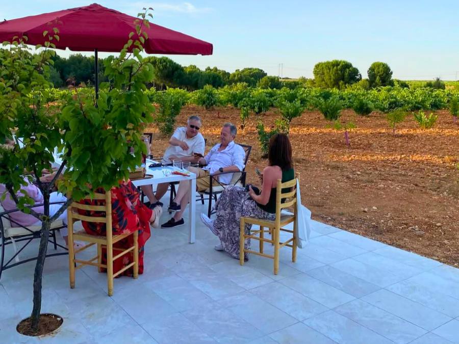 Viñedo La Viña del Abuelo