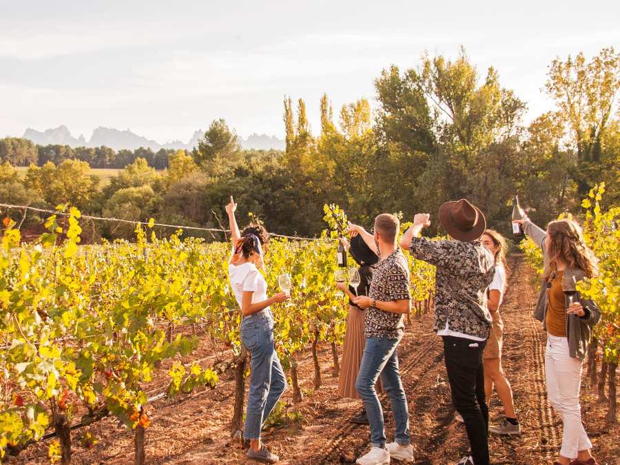 Cata de vinos Montserrat VIP Castle Experience