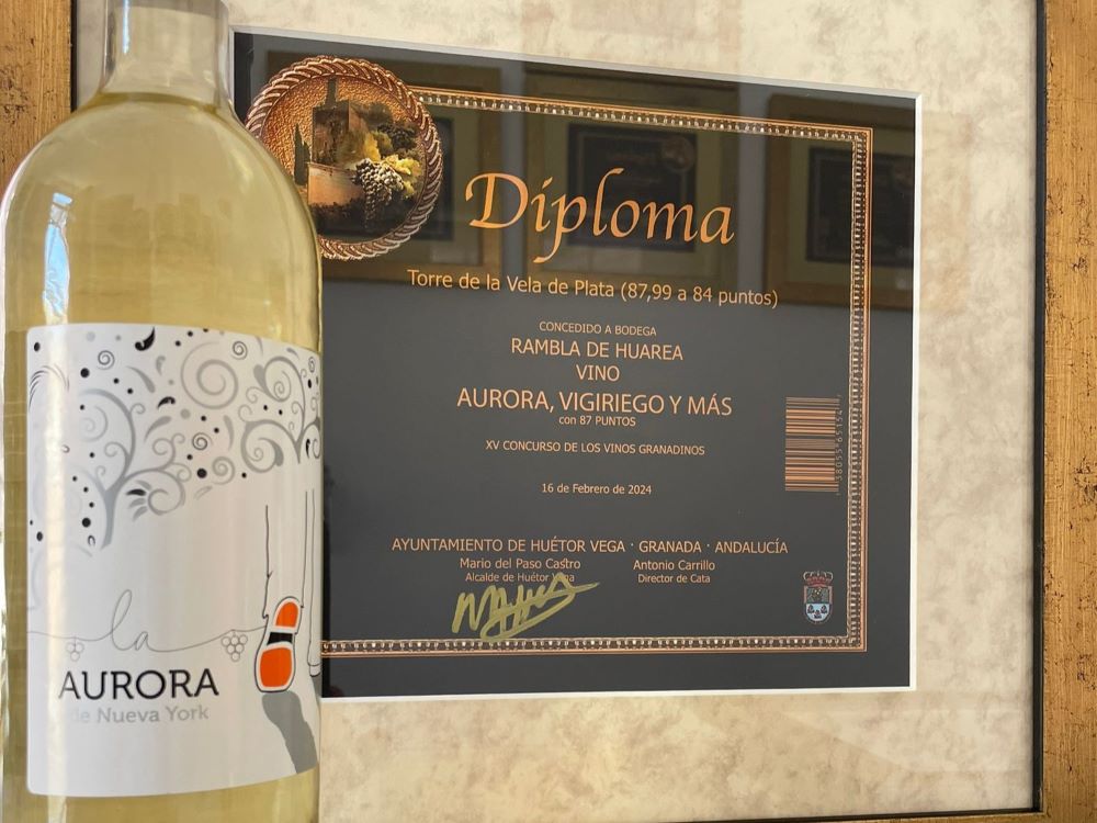 Vino Aurora Poeta en Nueva york