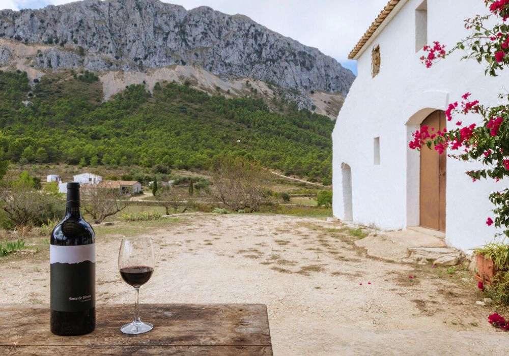 Vino Serra de B&eacute;rnia Mangum