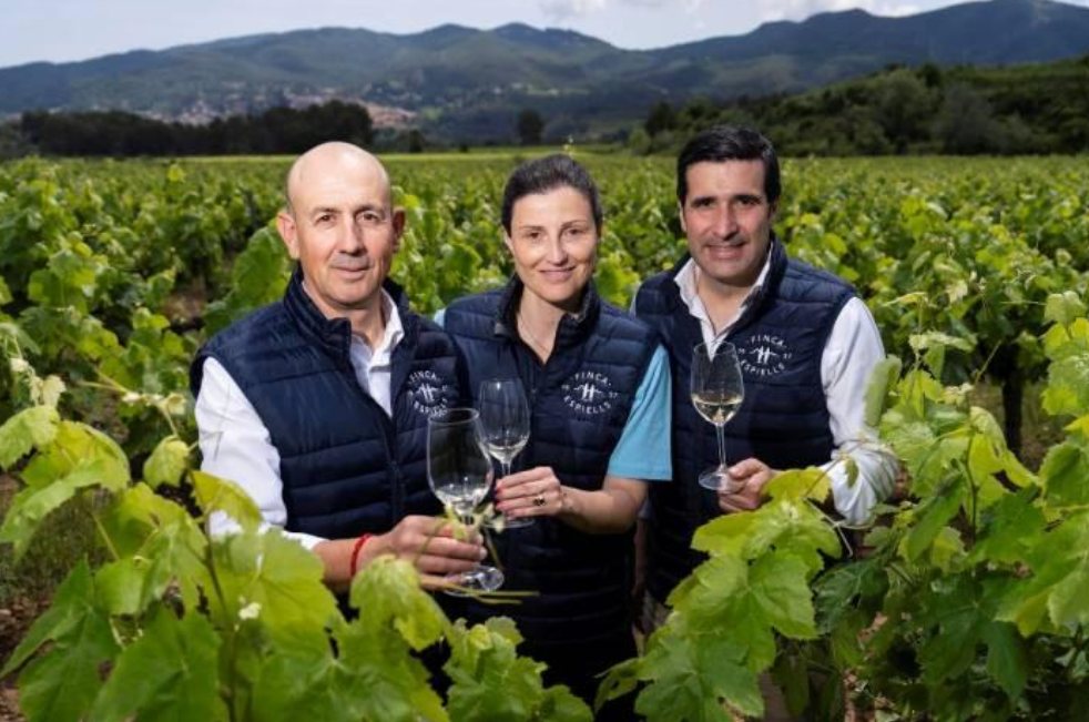 Vinos blancos Juv&eacute; & Camps