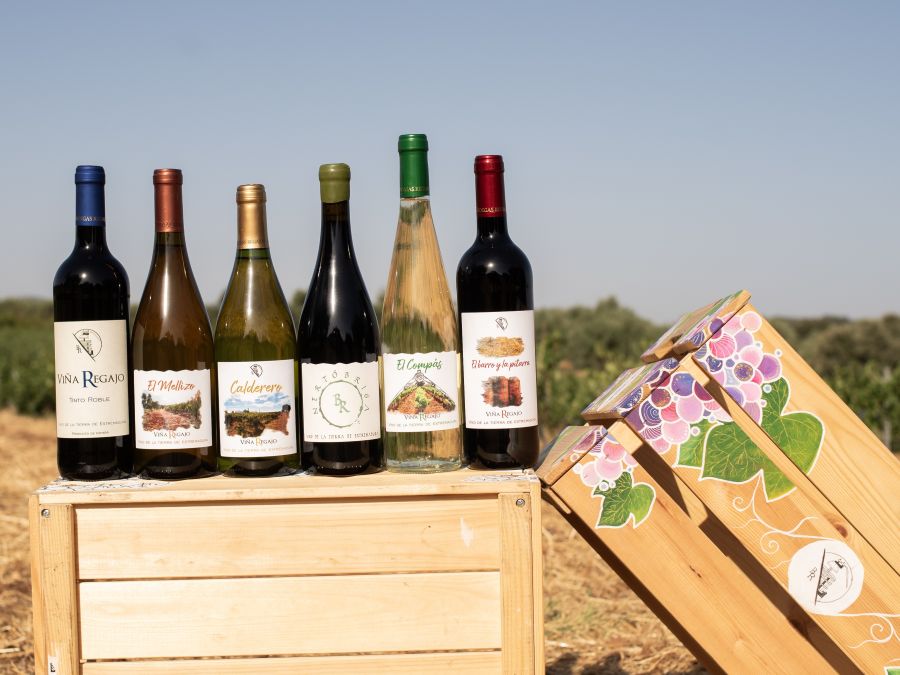 Nertóbriga Bodegas Regajo