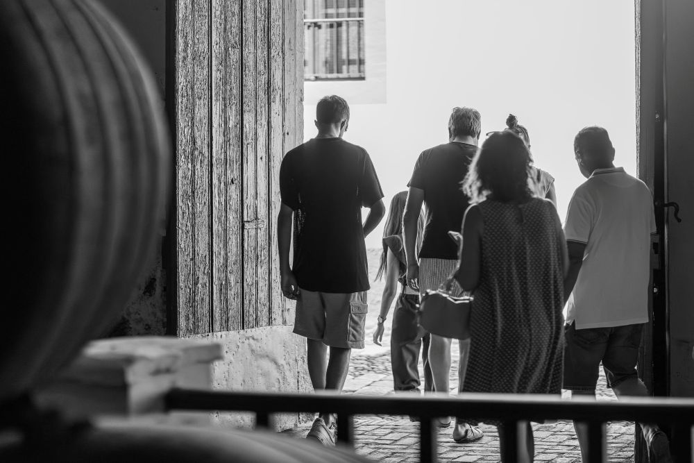 Bodega Álvaro Domecq 2025